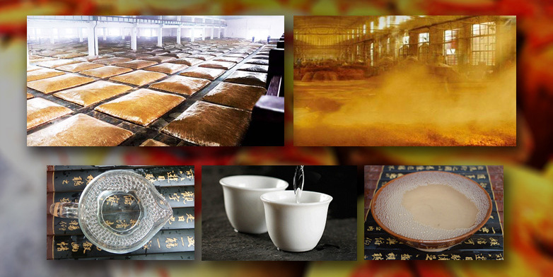 伝統と現代性を融合したワイン造り 伝統と現代性を融合したワイン造り