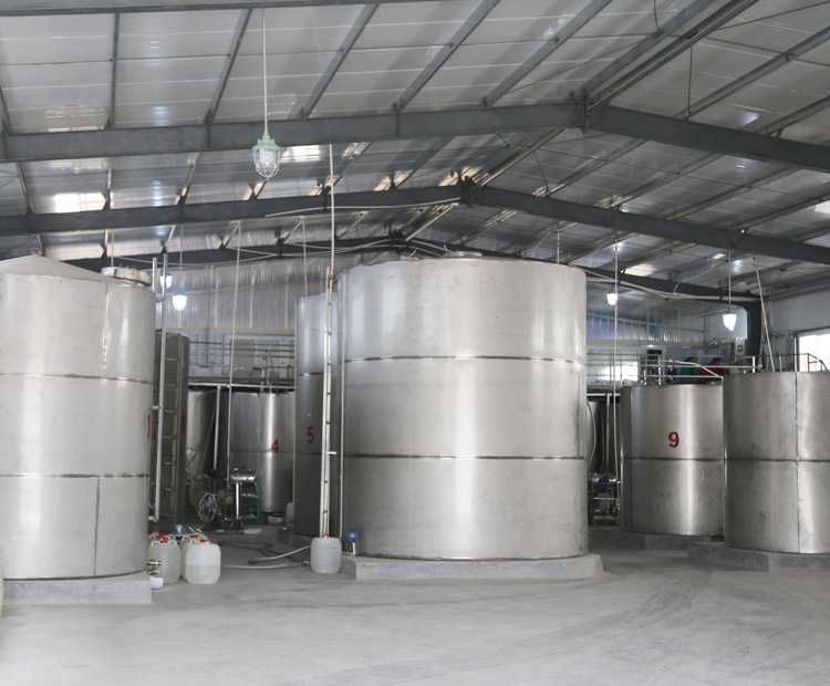 伝統と現代性を融合したワイン造り 伝統と現代性を融合したワイン造り