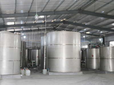 伝統と現代性を融合したワイン造り